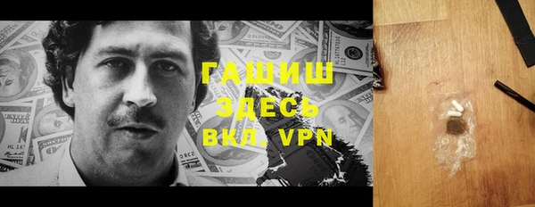 стаф Алзамай