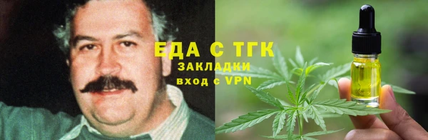 стаф Алзамай