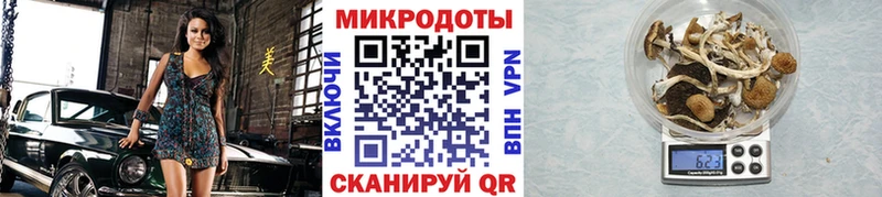 hydra зеркало  Бердск  Галлюциногенные грибы мицелий  купить наркоту 