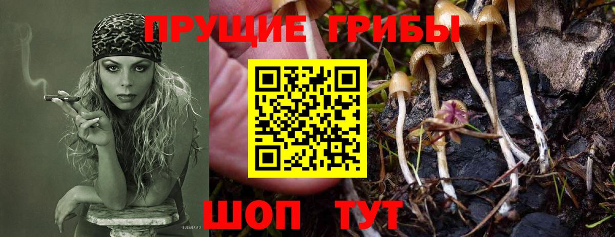 Галлюциногенные грибы мухоморы  купить наркотик  Бердск  Вход с VPN 